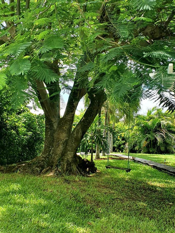Le Jardin Du Petit Macabou Apartamento Le Vauclin Exterior foto